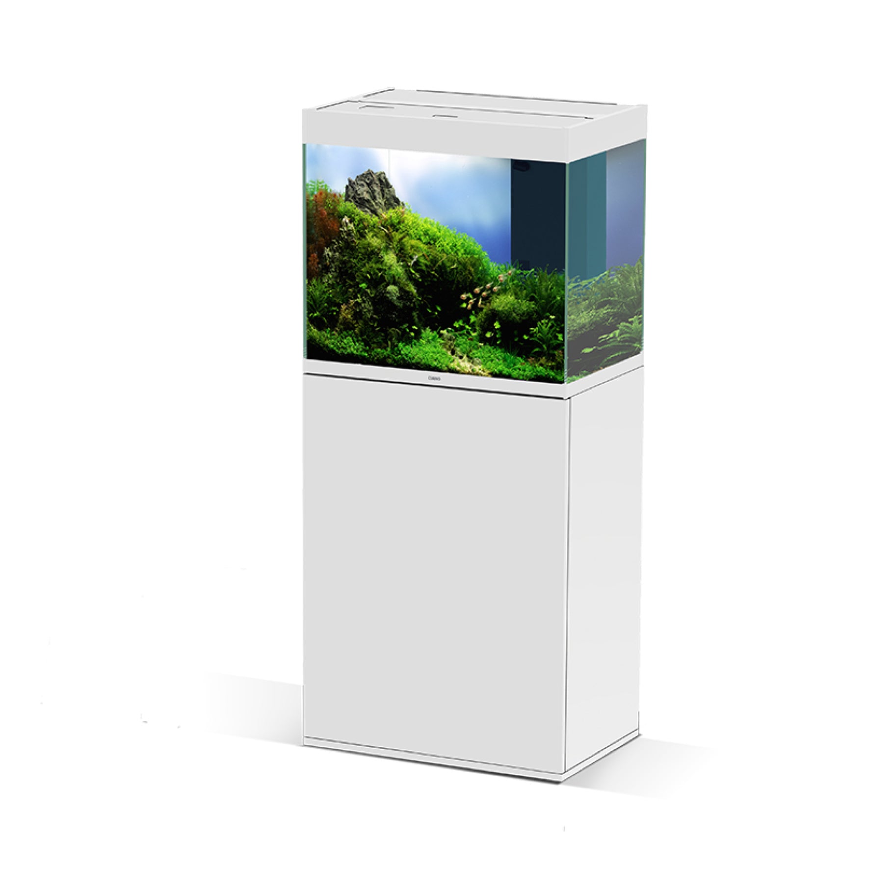 Ciano Emotions Pro 60 Aquarium