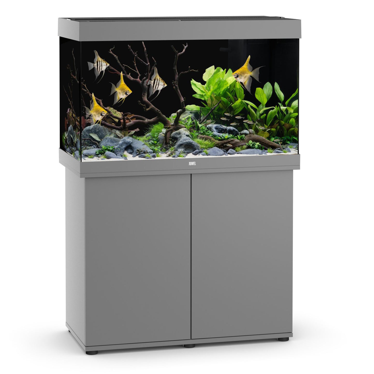 Juwel Rio 290 LED Aquarium & Cabinet