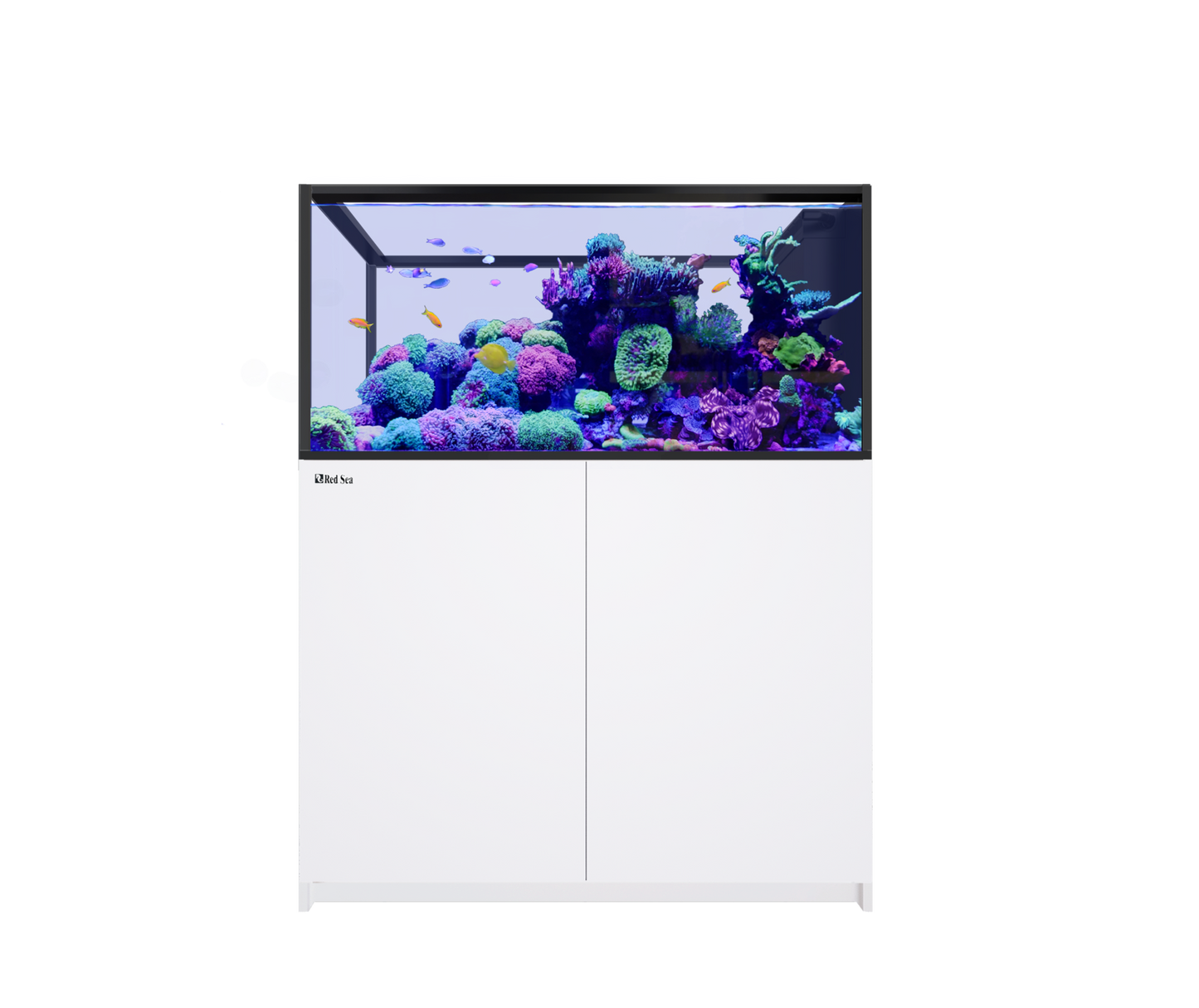 Red Sea Reefer Peninsula 500 G3 Aquarium