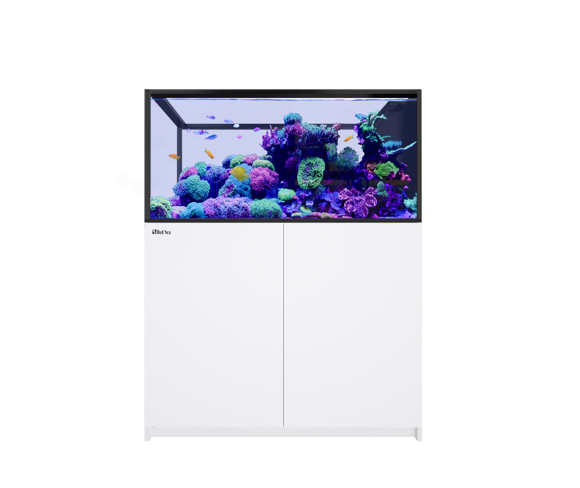 Red Sea Reefer Peninsula 500 G3 Aquarium