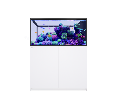 Red Sea Reefer Peninsula 500 G3 Aquarium