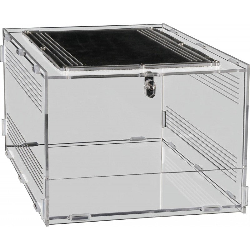 Repto Terra Clear Acrylic Terrarium Mesh Top Lock Reptile Enclosure