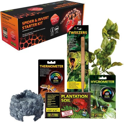 Exo Terra Spider & Invertebrate Accessory Starter Kit Habitat Care Set