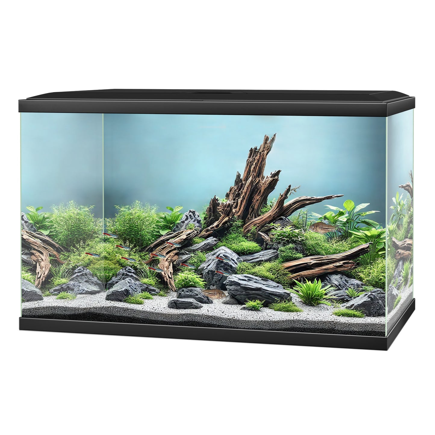 Ciano Aqua 60 Pro Aquarium