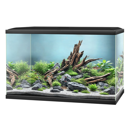 Ciano Aqua 60 Pro Aquarium