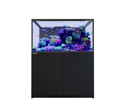 Red Sea Reefer S-550 G3 Aquarium