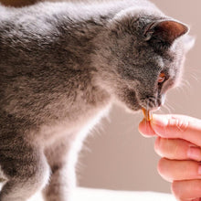 Beaphar Dental Easy Treat for Cats