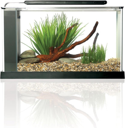 Fluval Spec Fish Tank 19lts Black - 10516