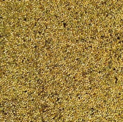 Bucktons Budgie 50/50 Bird Seed Mix 20kg Bulk Bag