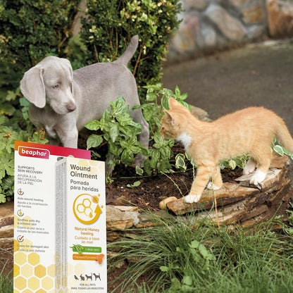 Beaphar Wound Ointment Pet Natural Honey Healing 30ml Cat Dog Rabbit Bird Health
