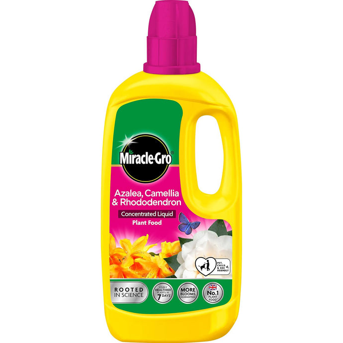 Miracle-Gro Ericaceous Concentrated Plant Food 800ml