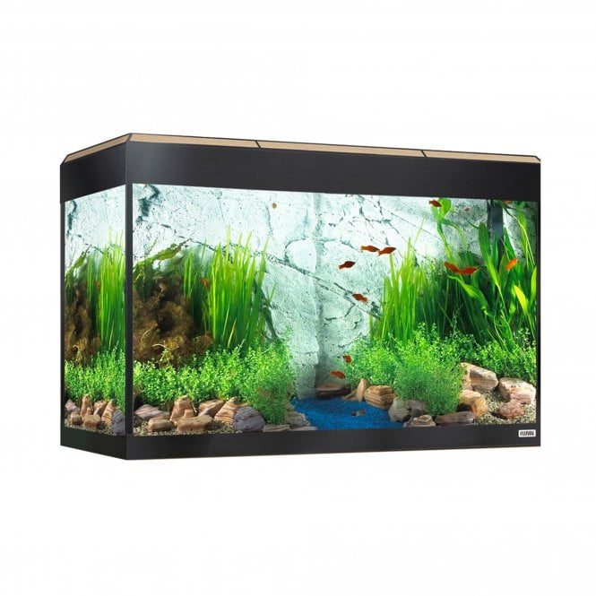 Fluval Roma 125L Aquarium