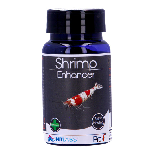 NT Labs Pro-F Shrimp Enhancer 40g