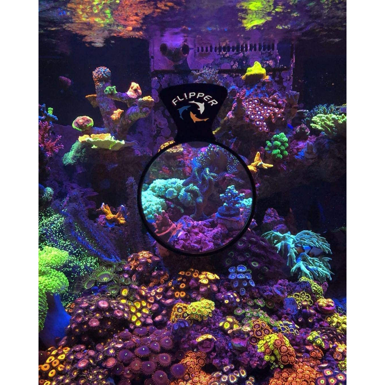 Flipper Deepsee Viewers & Lens