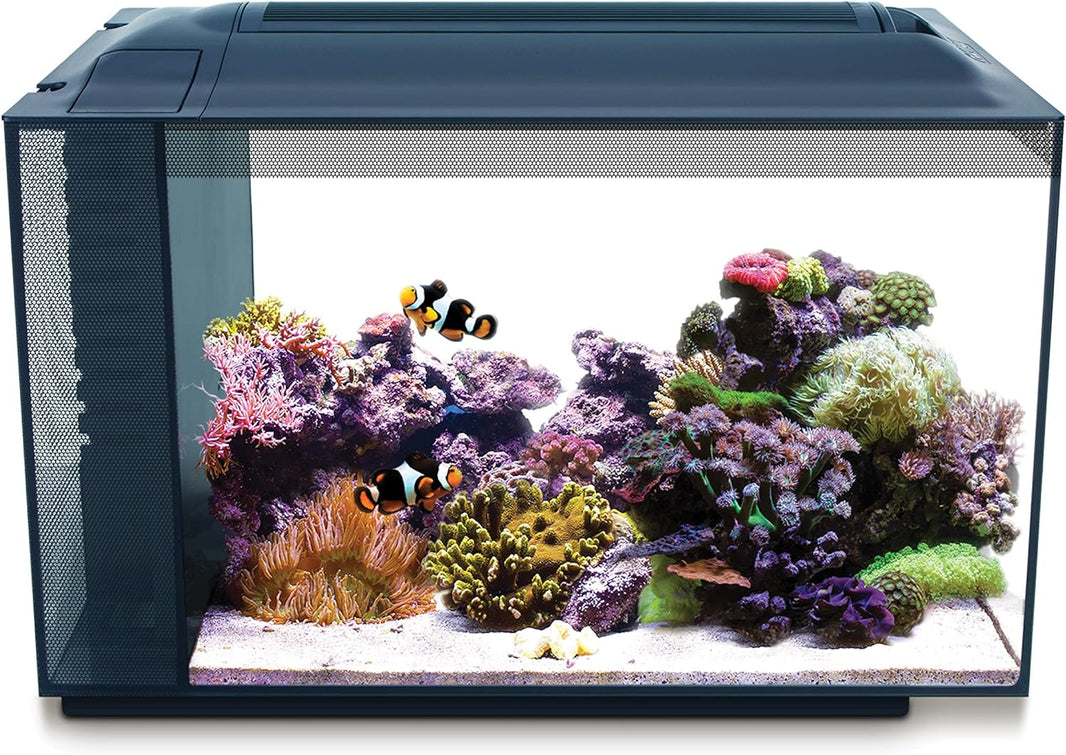 Marine Fish Tanks | Saltwater Aquariums | Aquacadabra