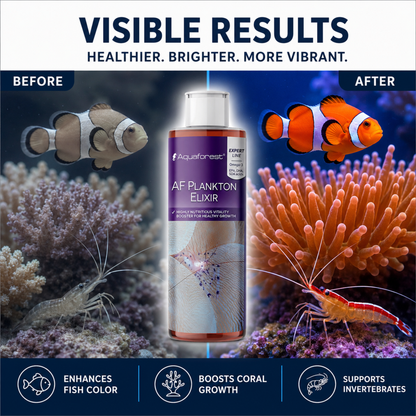 Aquaforest Plankton Elixir Premium Liquid Reef Food Omega-3 Coral Growth 250ml