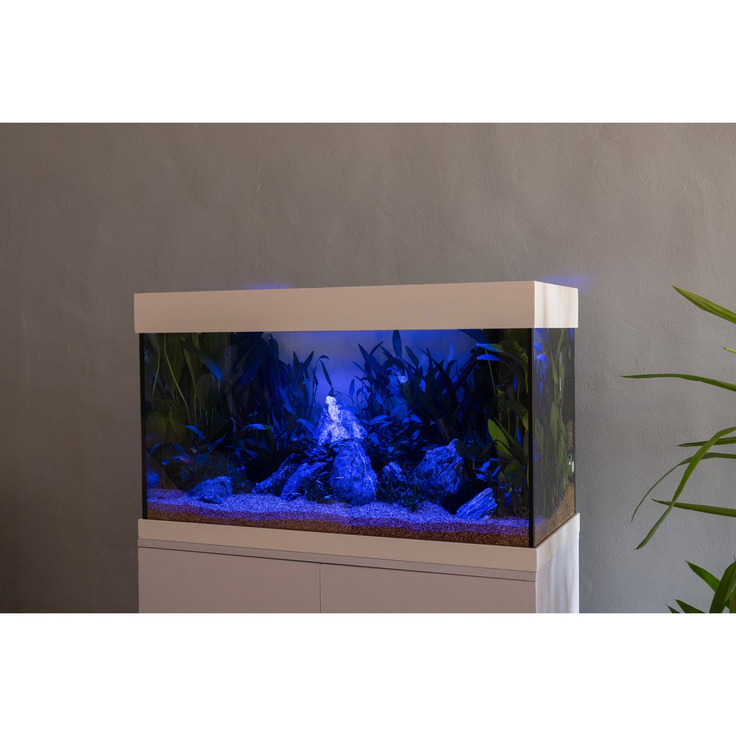 Interpet Aqua Smart LED Lighting Bluetooth 