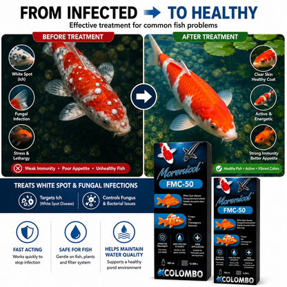 Colombo FMC-50 Pond Fish Treatment – White Spot & Fungal Remedy