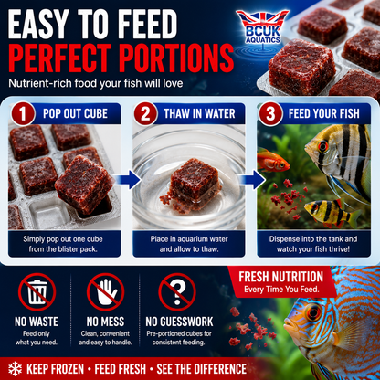 BCUK 100g Frozen Bloodworm – Natural Fish Prey