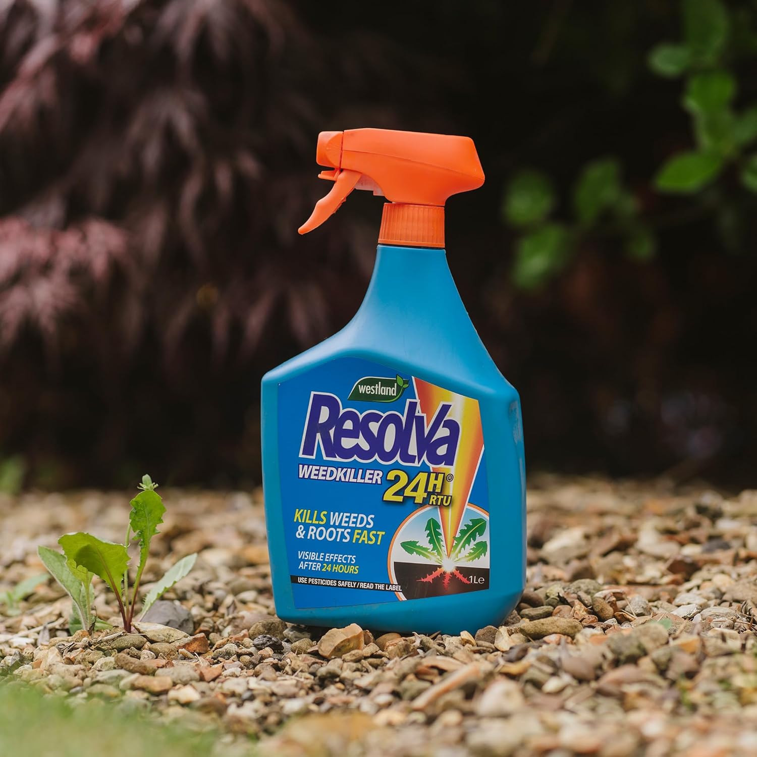 Resolva Weedkiller 24H RTU 800ml + 25% Extra Free RTU 