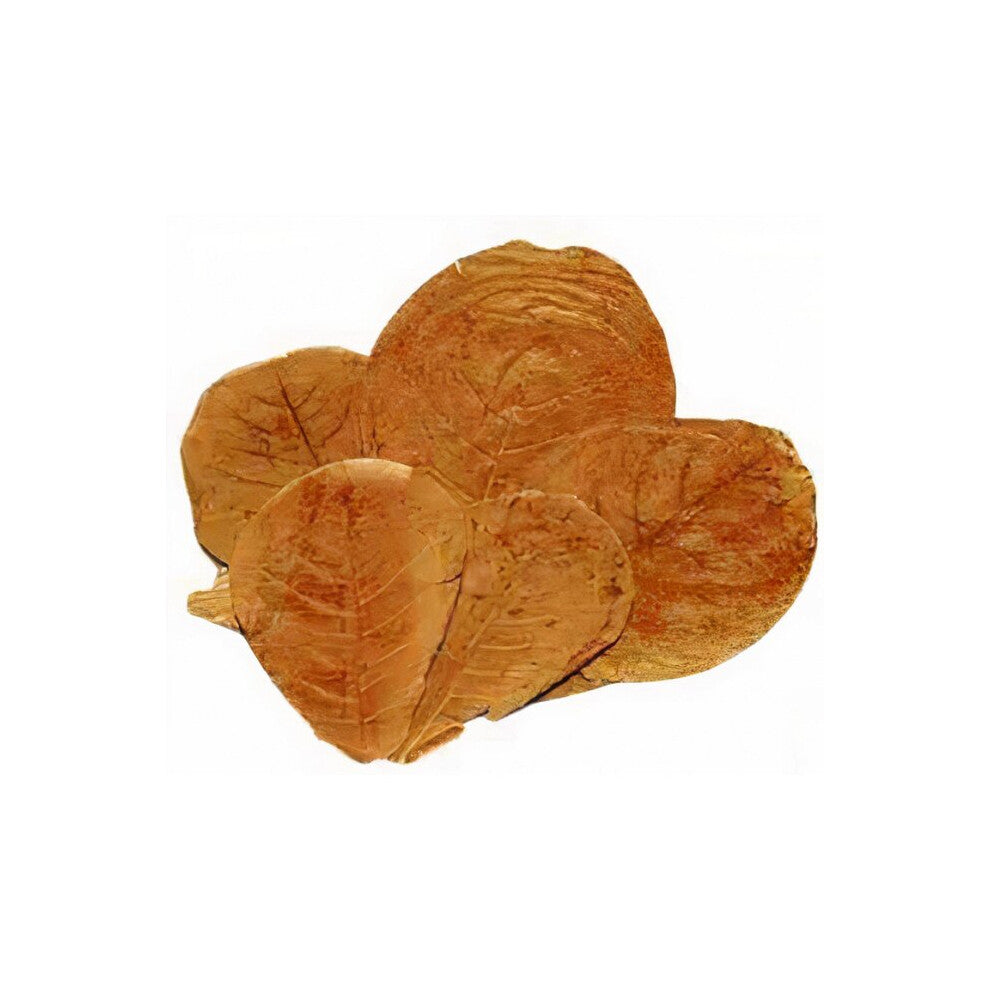 Nature4pets Mulberry Leaves for Shrimp – 10-15 Natural Dried Leaves