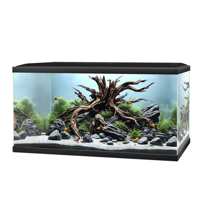 Ciano Aqua 60 Aquarium - CF80 with CF80 Filter
