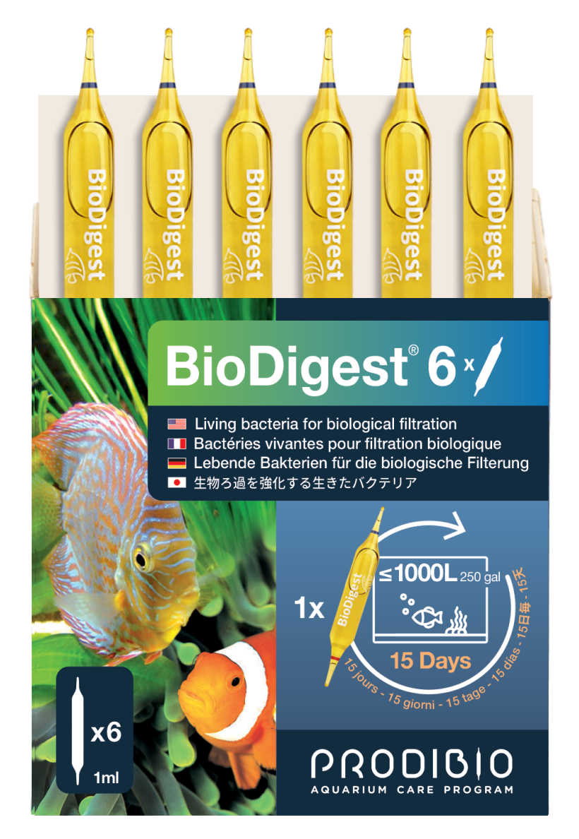 Prodibio BioDigest Bacteria Treatment