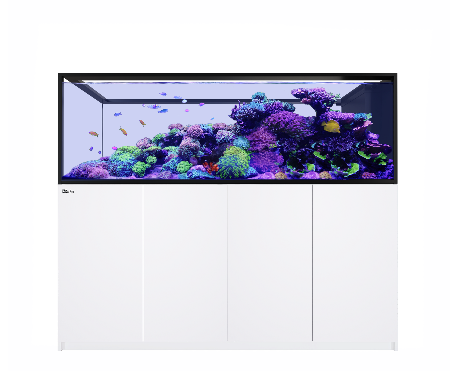 Red Sea Reefer Peninsula S 950 G3 Aquarium