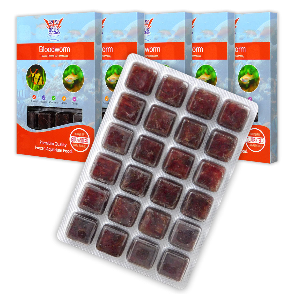 BCUK Frozen Bloodworm 100g