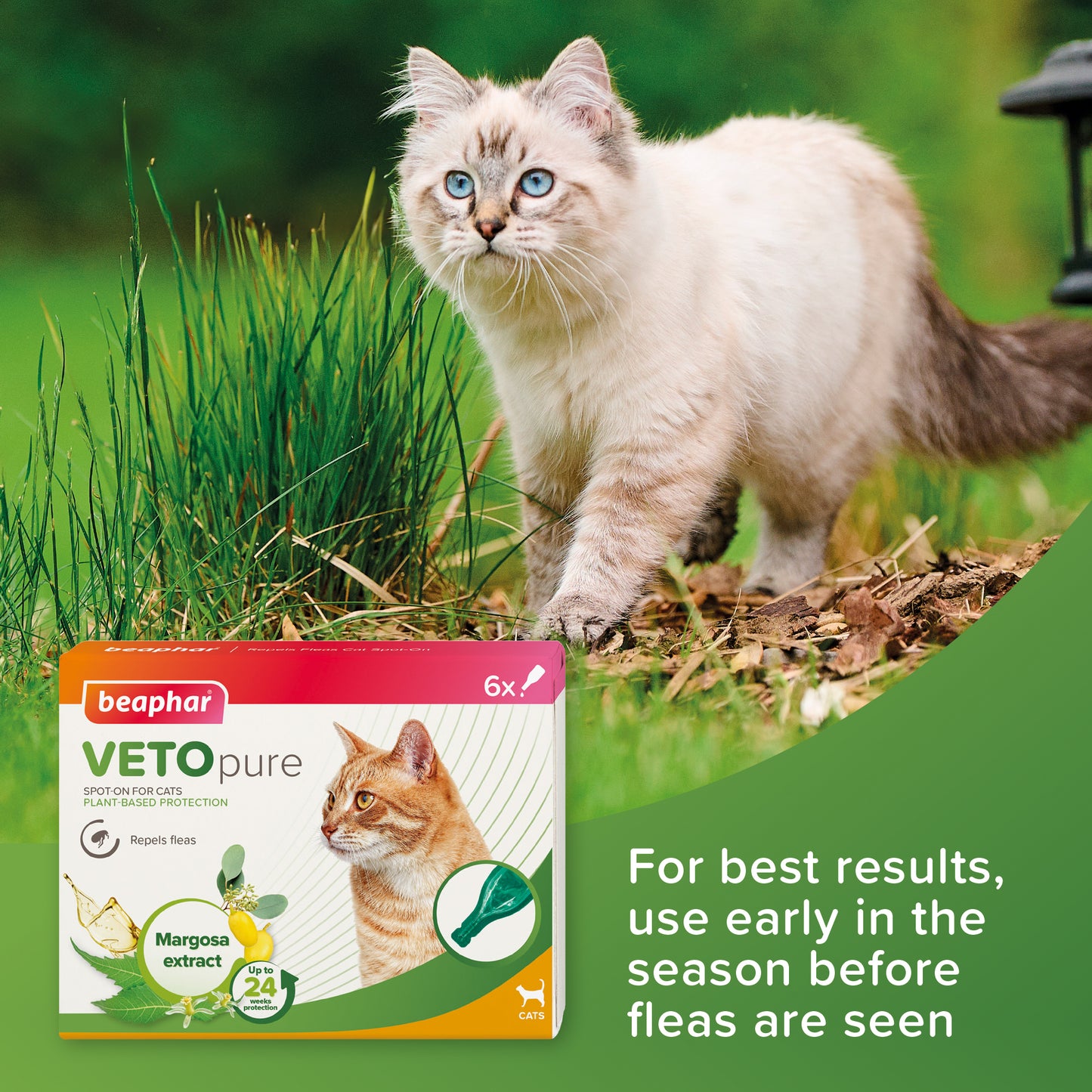 Vetopure Beaphar Cat Spot On Flea Protection - 6 Pipettes for 24 Weeks