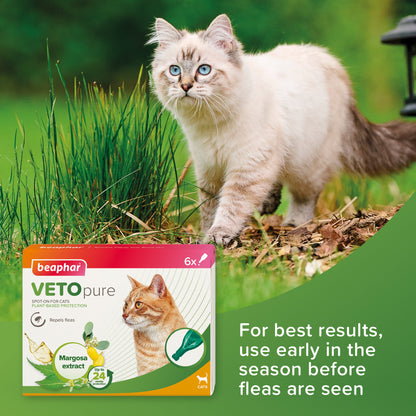 Vetopure Beaphar Cat Spot On Flea Protection - 6 Pipettes for 24 Weeks