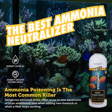 Fritz ACCR Ammonia Remover