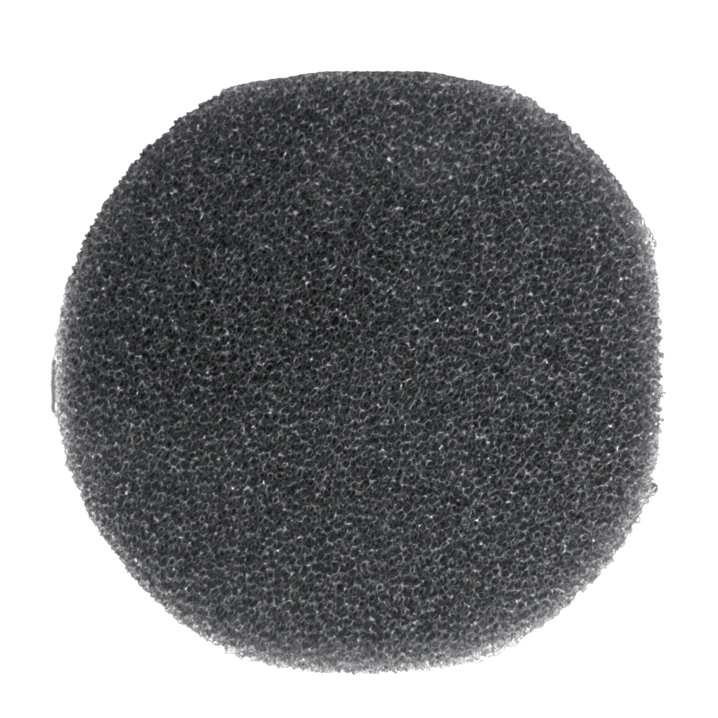 FC Bermuda Skimmer Foam 180mm dia x 10mm 