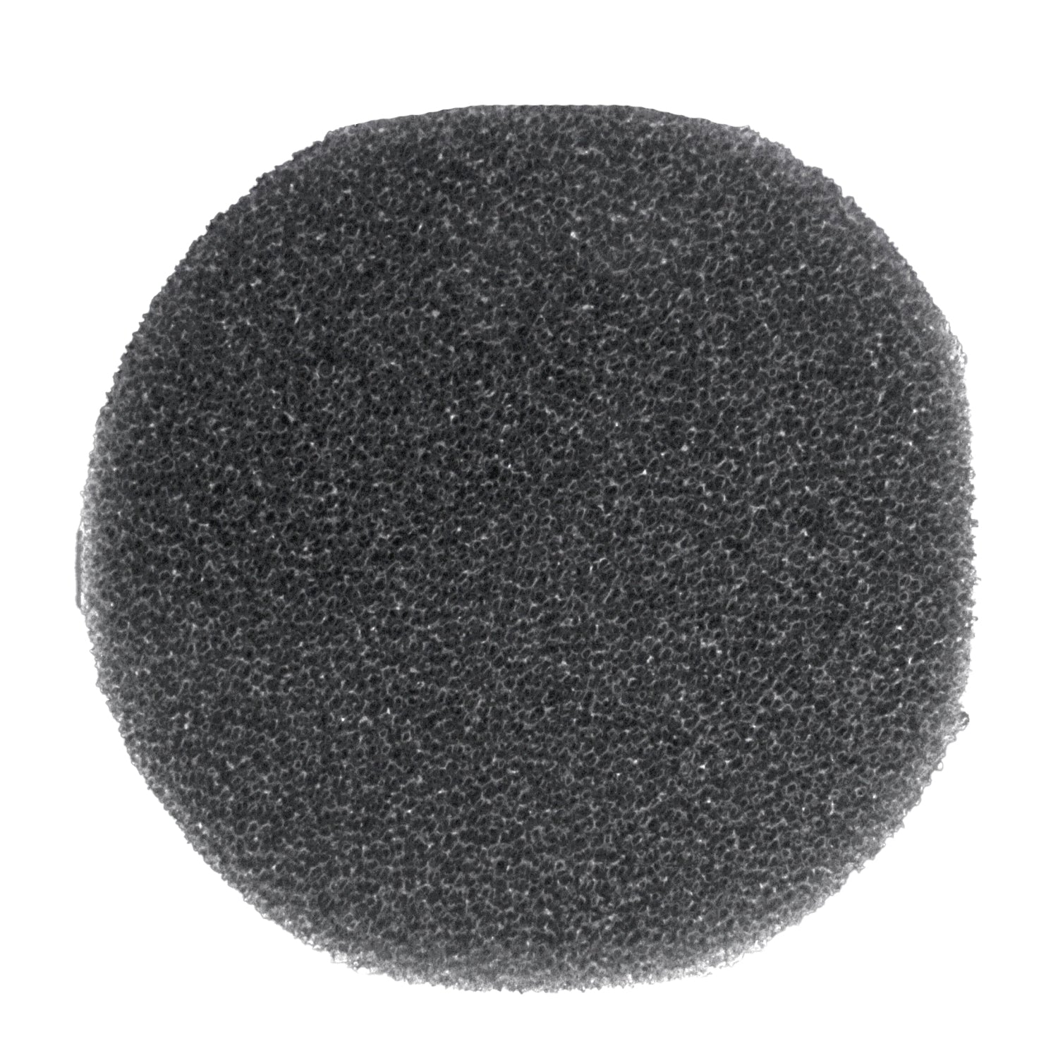 FC Bermuda Skimmer Foam 180mm dia x 10mm 