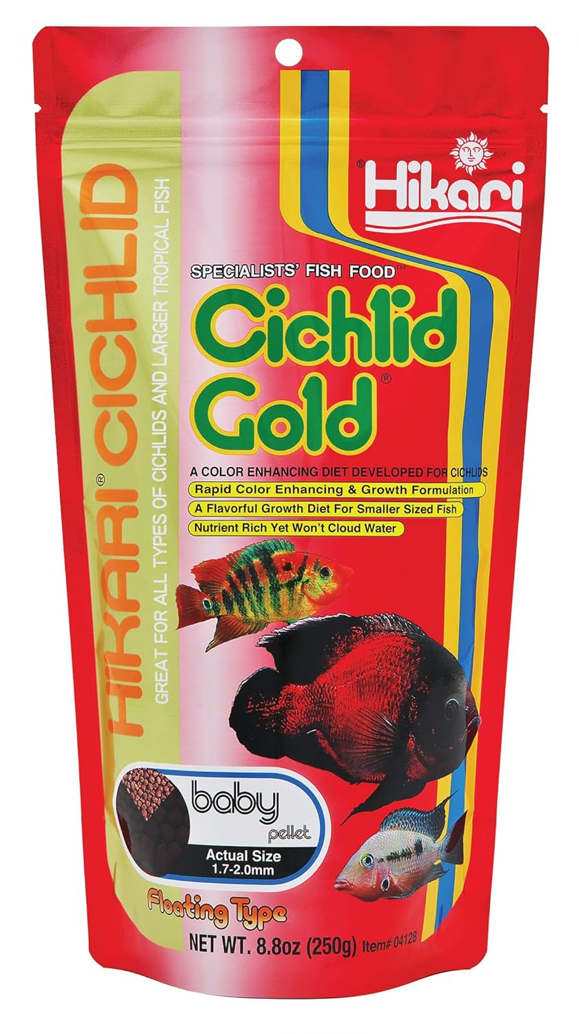 Hikari Cichlid Gold Floating Baby Pellets 250g