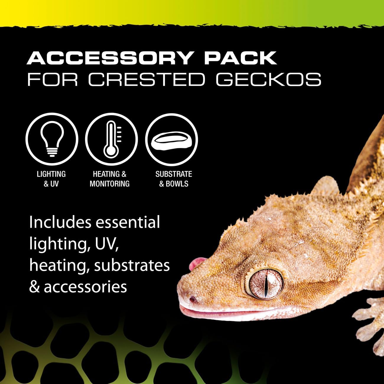 Exo Terra Crested Gecko Accessory Kit 