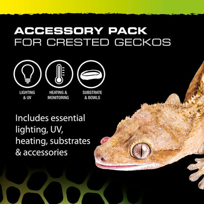 Exo Terra Crested Gecko Accessory Kit 