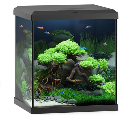  Juwel 54 L Vio Cube Aquarium Fish Tank Set with LED Lighting Filter and Heater