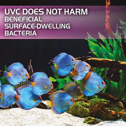 Fluval 3w In-Line UVC Clarifier 2024