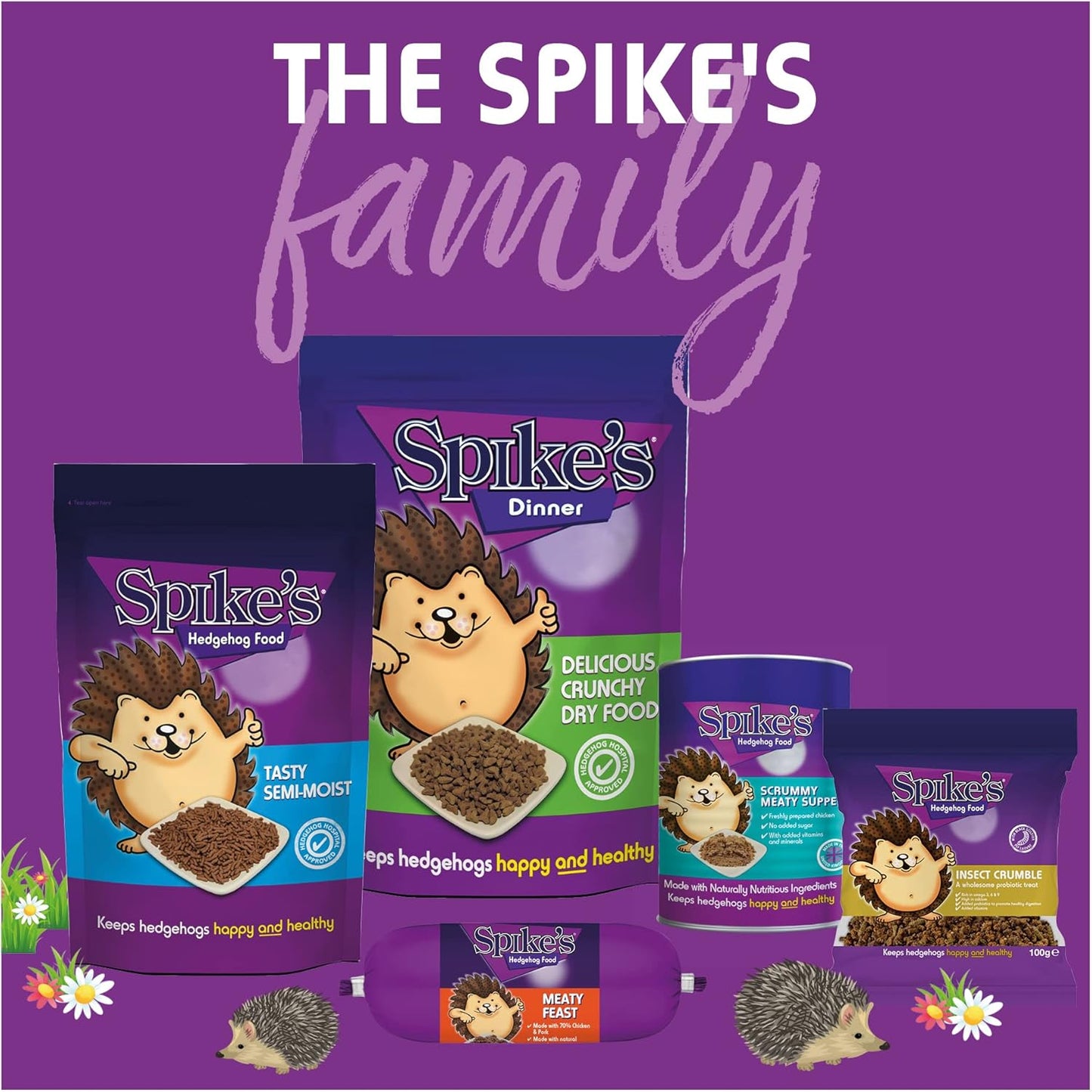 Spikes Delicious Dinner Crunchy Dry Hedgehog Food Biscuits Treats