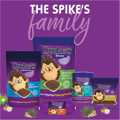 Spikes Delicious Dinner Crunchy Dry Hedgehog Food Biscuits Treats