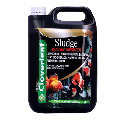 Cloverleaf Sludge Answer