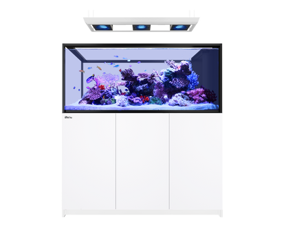 Red Sea Reefer MAX Peninsula S-700 G3 Aquarium