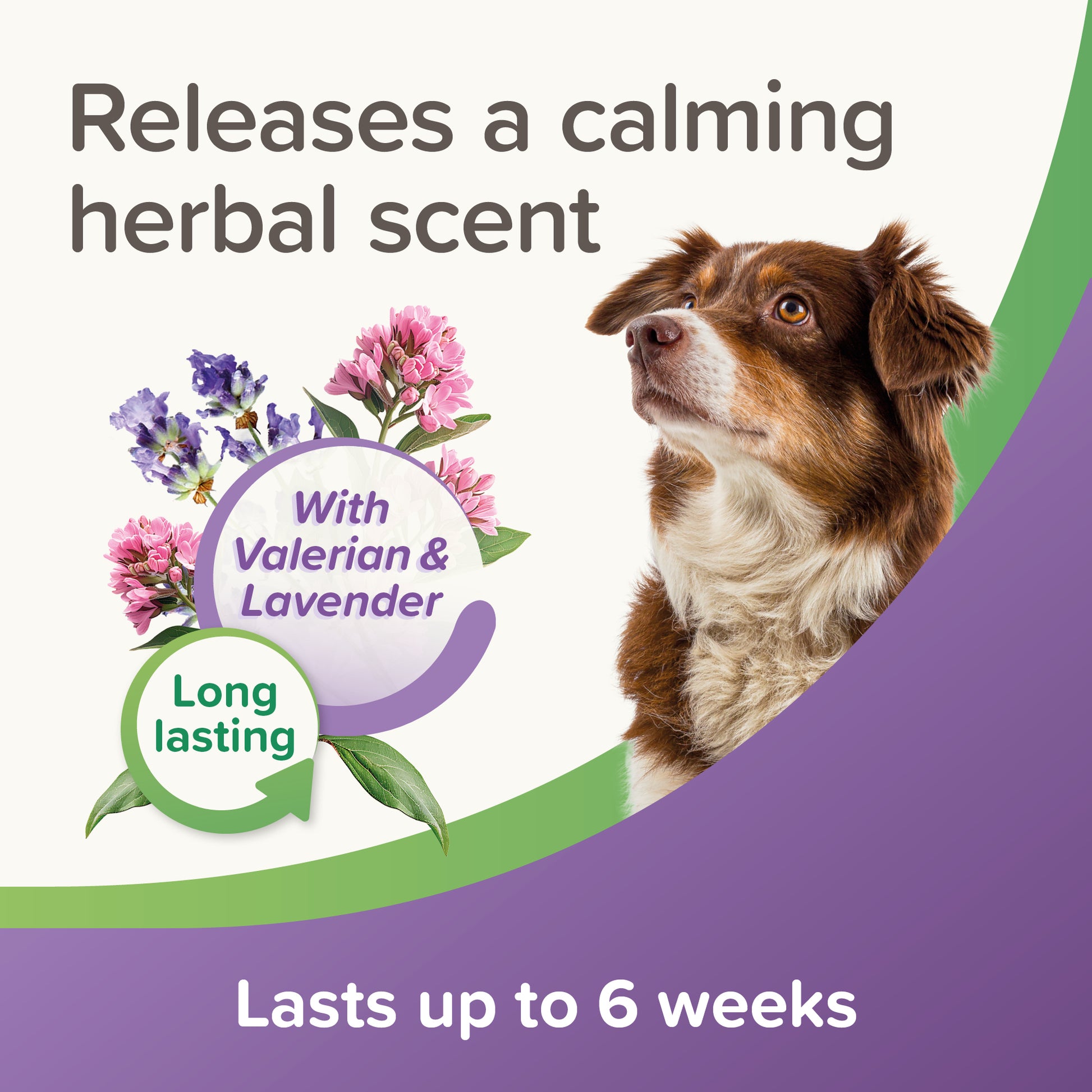 Beaphar Calming Dog Collar