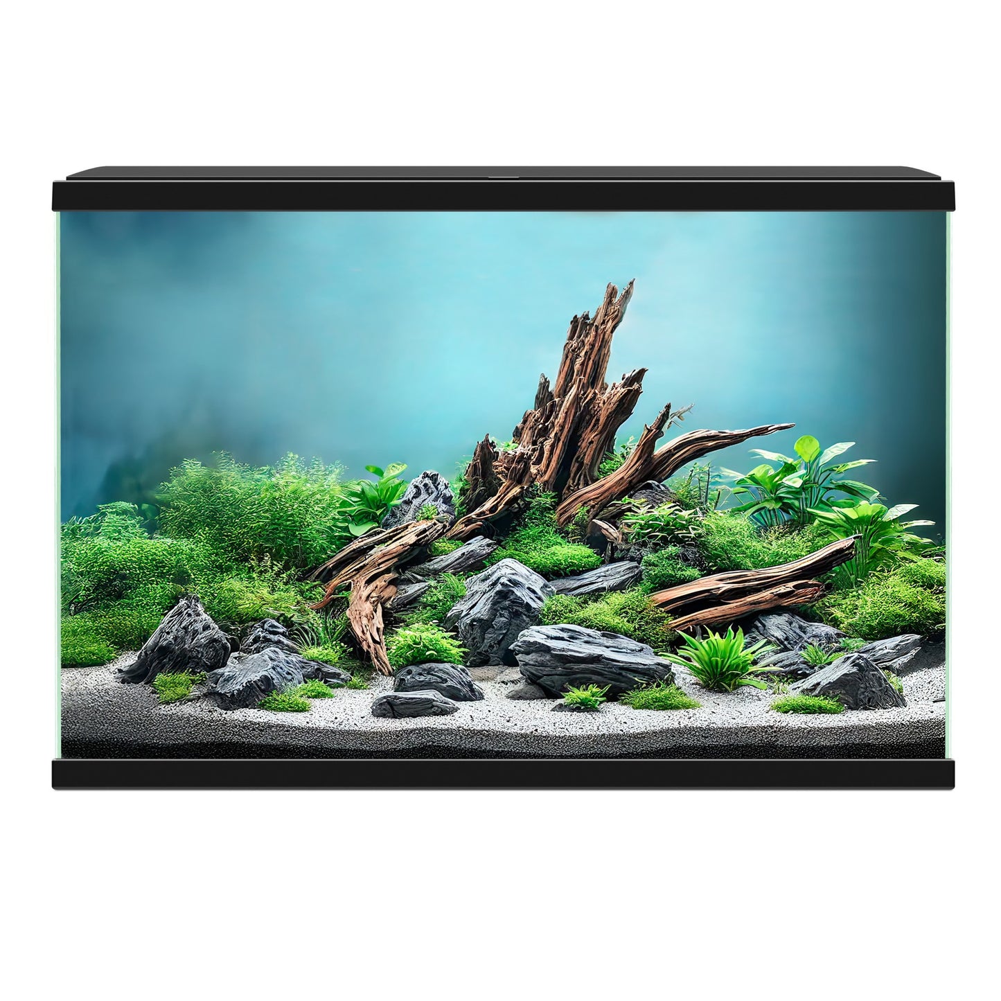 Ciano Aqua 60 Pro Aquarium