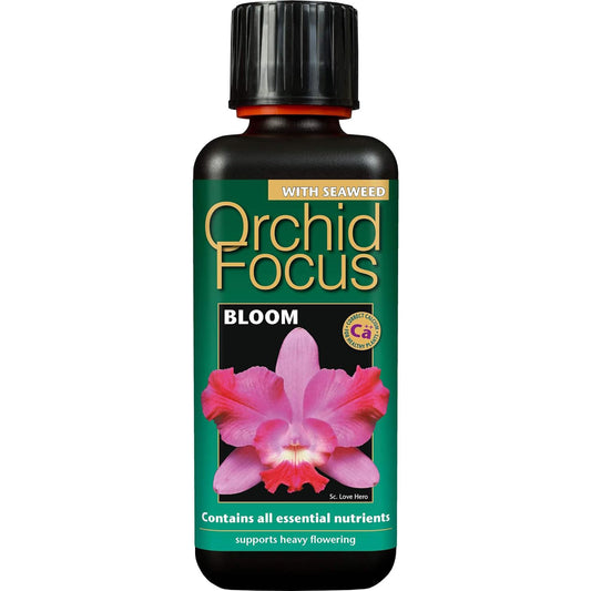 GT Orchid Focus BLOOM 300ml 