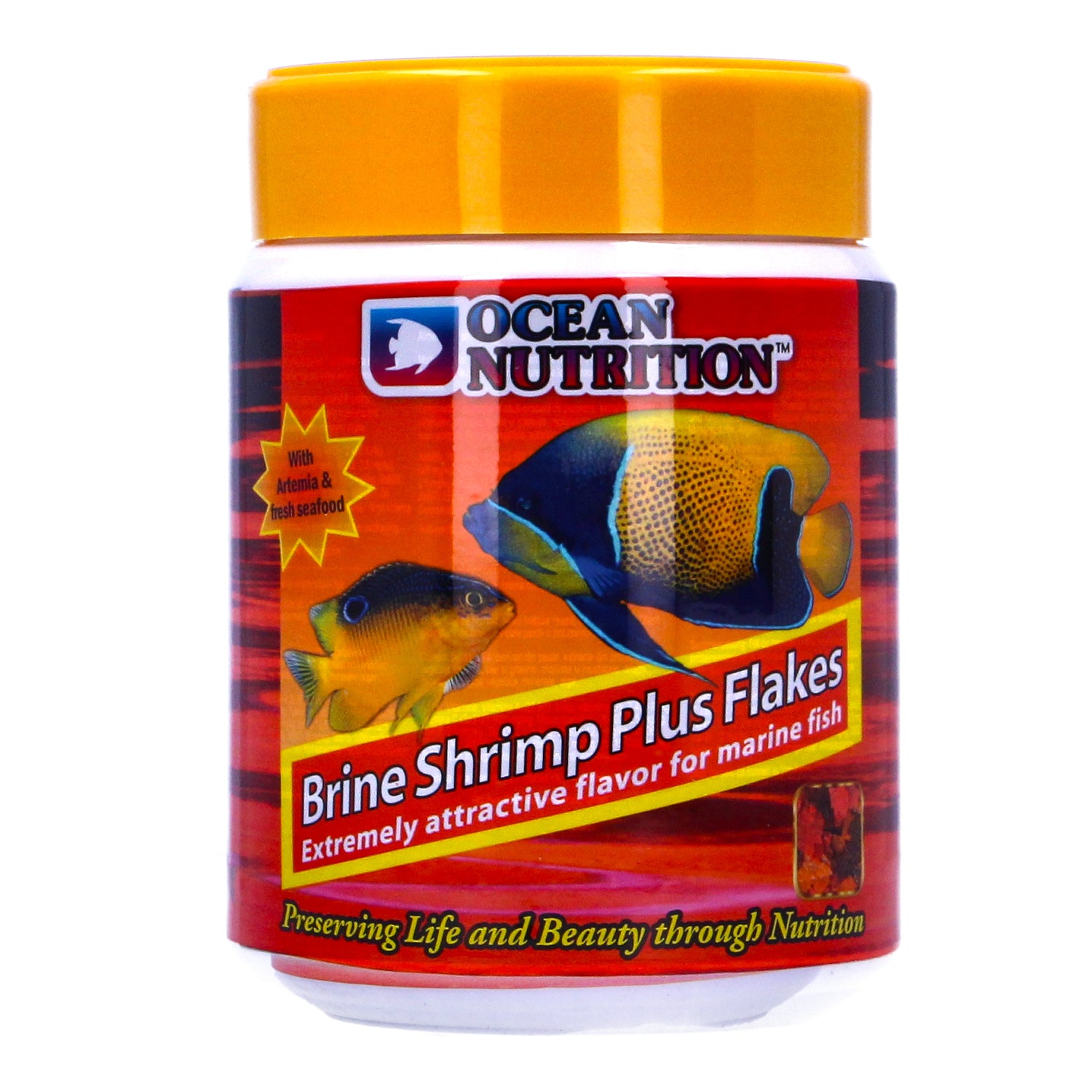 Cherry Shrimp Brine Shrimp For Betta Fish Best Betta Eating Shrimp New Arrivals