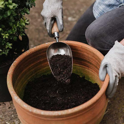 Kent & Stowe Stainless Steel Hand Potting Scoop 