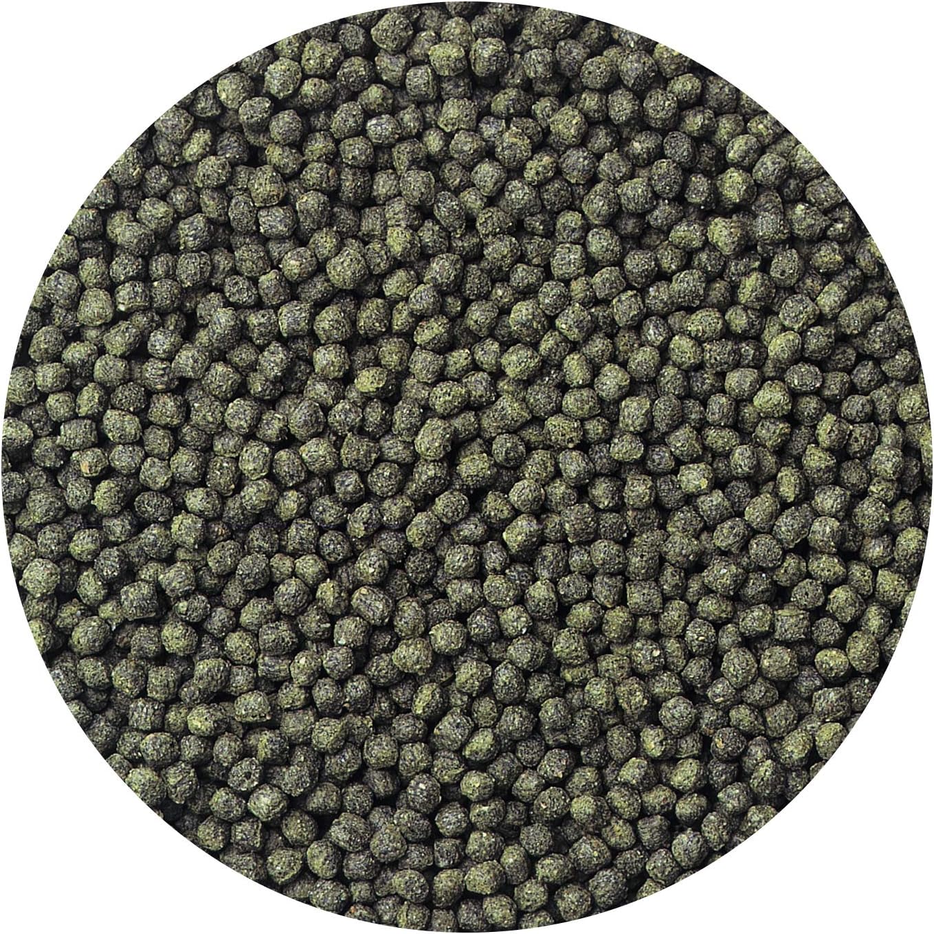 Hikari 8.8-Ounce Cichlid Excel Floating Mini Pellets for Pets