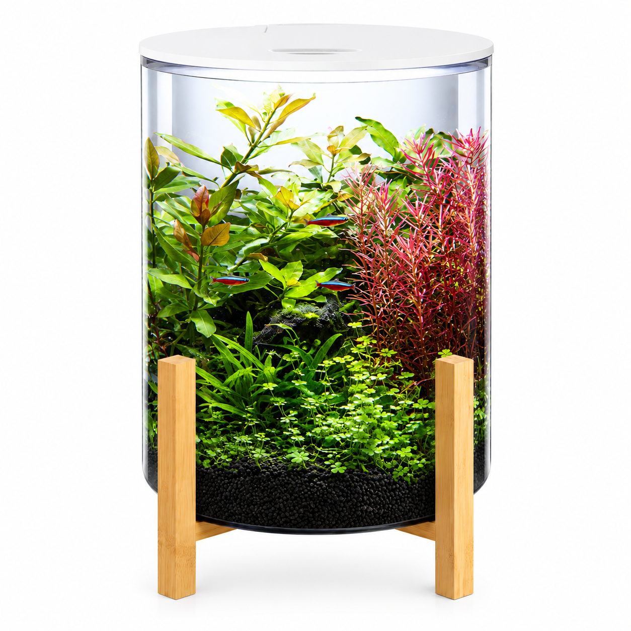 SuperFish Orbiq 11 Aquarium Fish Tank Set White/Black Bamboo Stand & Filter